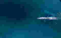 Blue Ocean Surface naval defence fast forward