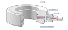 piezo graphic5 en