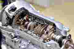 Shutterstock Image 31