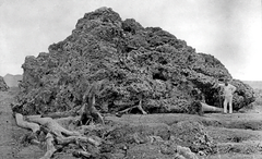03 loudest sound naturally