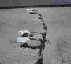 Case Study - Cedex predictive roadway 1