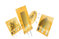 sg Y-Series group 001 transparent