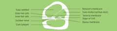 waves 11 hero11 1280x340px compressor