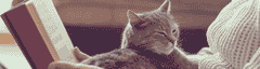 waves 12 banner9 1280x340px compressor