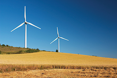 Wind Turbines in field 1