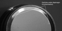 particles under the diaphragm