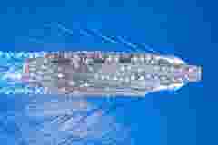 Aerial view of a nuclear ship, military navy ship carrier fully loaded with fighter jets and a helicopter at sea.