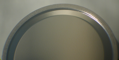 microphone diaphragm