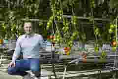 INTERNAL USE Case Study Meercamp 02 tomato nursery