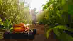 Agricultural robot in cornfield 1