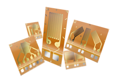 sg M Series group 001 transparent