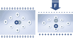 piezo 3 4