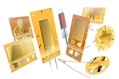 sg ESA-Strain gauges group 001 isolated