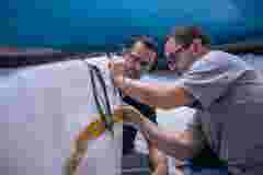 INTERNAL USE Case Study IMOCA BO 0454
