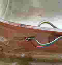 sailing img3